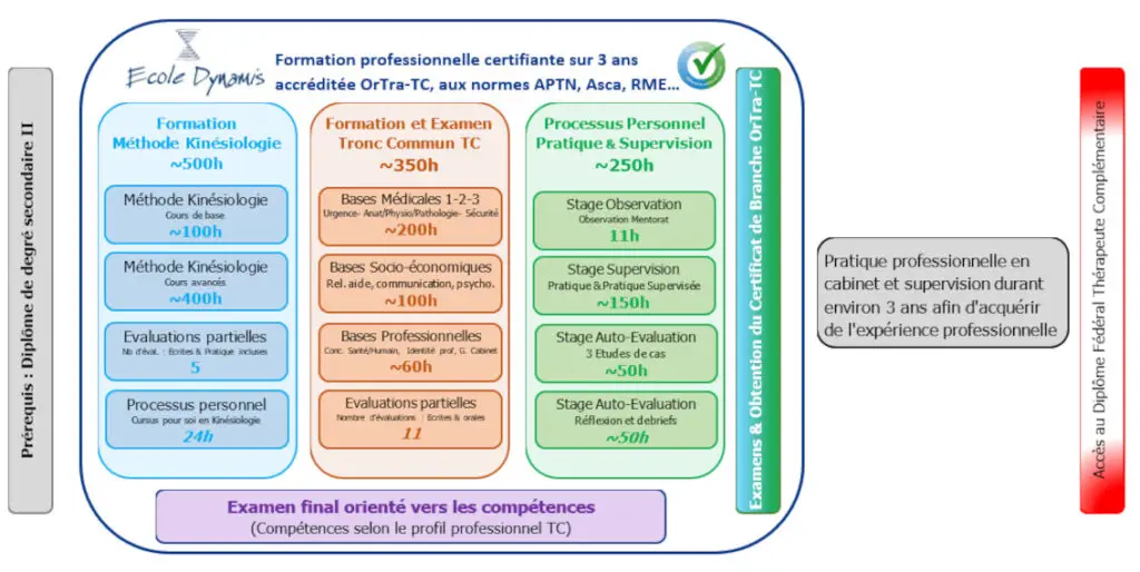 structure de la formation école dynamis