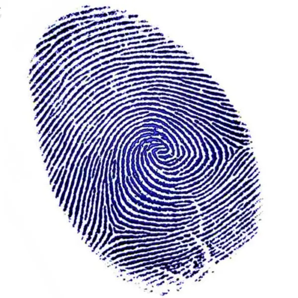 blue print kinésiologie avancée