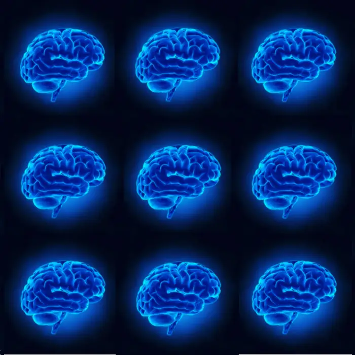 intelligence innée