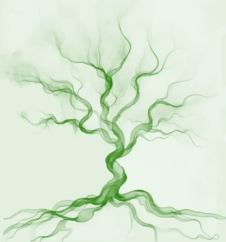 Boost ton cabinet Regénère