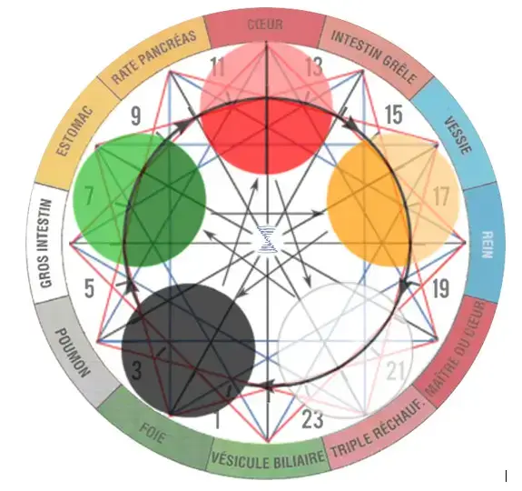 Santé par le Toucher approfondissement