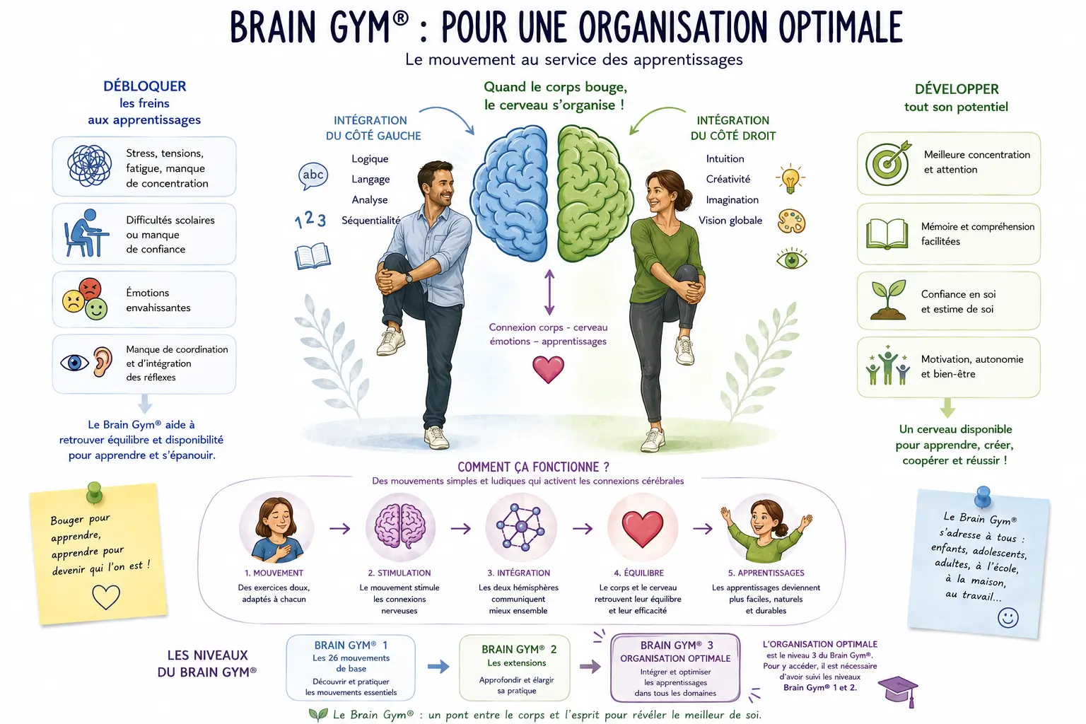 Brain Gym organisation optimale